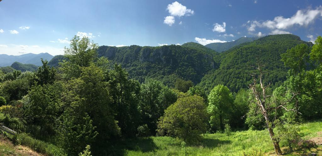 Gite de Serrelongue Montségur Extérieur photo